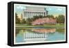 Lincoln Memorial, Cherry Blossoms, Washington D.C.-null-Framed Stretched Canvas