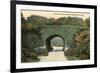 Lincoln Park Bridge, Chicago, Illinois-null-Framed Art Print