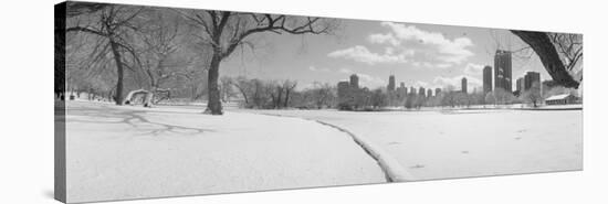 Lincoln Park, Chicago, Illinois, USA-null-Stretched Canvas