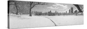 Lincoln Park, Chicago, Illinois, USA-null-Stretched Canvas