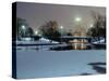 Lincoln Park, Chicago, Illinois, USA-null-Stretched Canvas