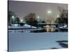 Lincoln Park, Chicago, Illinois, USA-null-Stretched Canvas