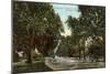 Lincoln Park, Chicago, Illinois-null-Mounted Art Print