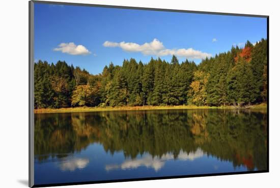 Lincoln Pond, Edward Niles Huyck Preserve, New York, USA-Michel Hersen-Mounted Photographic Print