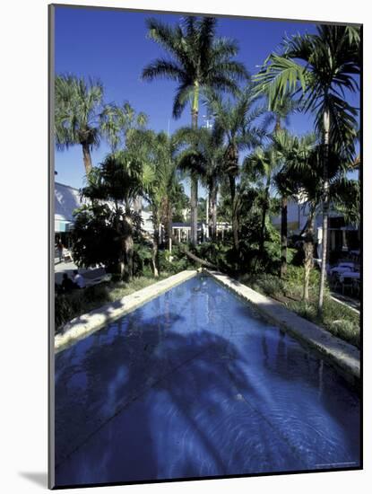 Lincoln Road, South Beach, Miami, Florida, USA-Robin Hill-Mounted Photographic Print