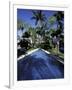 Lincoln Road, South Beach, Miami, Florida, USA-Robin Hill-Framed Photographic Print