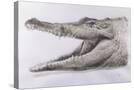 Stretched Canvas