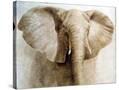 Stretched Canvas