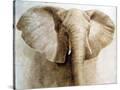 Stretched Canvas