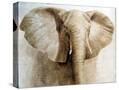 Stretched Canvas