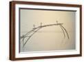 Brown Frame