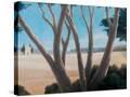 Stretched Canvas