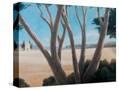 Stretched Canvas