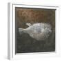 White Frame