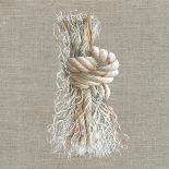 Rope Knot-Lincoln Seligman-Giclee Print