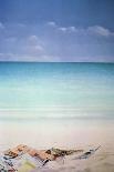 Sun, Sand and Money I-Lincoln Seligman-Giclee Print