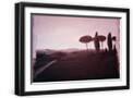 Black Frame