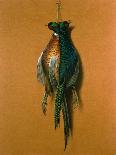 Pheasants, 1984-Lincoln Taber-Framed Stretched Canvas