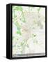 Lincoln, United Kingdom Map-null-Framed Stretched Canvas