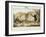 Lincolnshire Duck Decoy, C1845-null-Framed Giclee Print