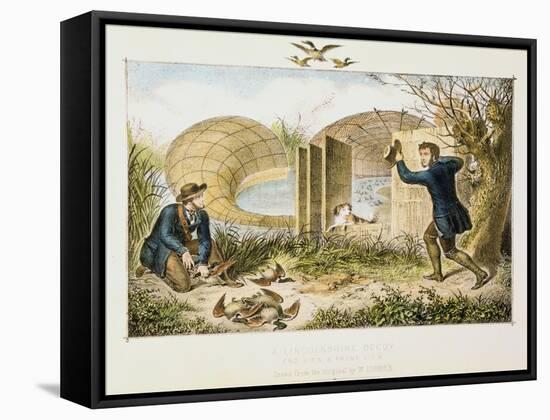 Lincolnshire Duck Decoy, C1845-null-Framed Stretched Canvas