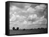 Lincolnshire Scenery-null-Framed Stretched Canvas