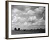 Lincolnshire Scenery-null-Framed Photographic Print