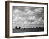 Lincolnshire Scenery-null-Framed Photographic Print