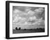 Lincolnshire Scenery-null-Framed Photographic Print