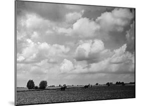 Lincolnshire Scenery-null-Mounted Photographic Print
