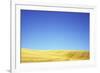 Lincolnshire Wolds-Den Reader-Framed Photographic Print