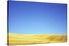 Lincolnshire Wolds-Den Reader-Stretched Canvas