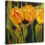 Stretched Canvas