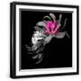 Black Frame