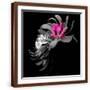Brown Frame