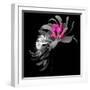 White Frame