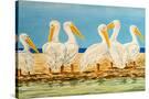 Stretched Canvas