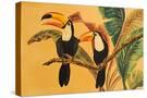 Stretched Canvas