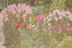 Pink Phlox in the Herbaceous Border-Linda Benton-Giclee Print