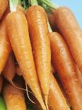 Fresh Carrots-Linda Burgess-Photographic Print