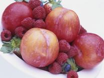 Harvesting Potatoes: Lifting Potatoes out of Ground with Fork-Linda Burgess-Stretched Canvas