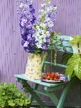 Garden Chair with Delphiniums and Plate of Strawberries-Linda Burgess-Photographic Print