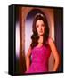 Linda Cristal-null-Framed Stretched Canvas