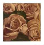 French Cottage Roses II-Linda Hanly-Art Print