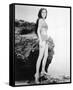 Linda Harrison - Planet of the Apes-null-Framed Stretched Canvas