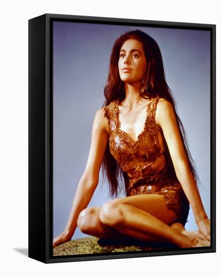 Linda Harrison-null-Framed Stretched Canvas