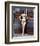 Linda Harrison-null-Framed Photo