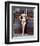 Linda Harrison-null-Framed Photo