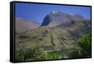 Canvas Black