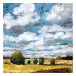 Distant Storm-Linda Nickell-Stretched Canvas